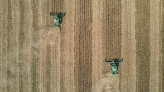 pexels-photo-31226931-31226931 Drone captures two harvesters working in sprawling soybean fields in Brazil.